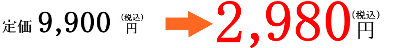 定価9,900円(税込)▶︎2,980円(税込)