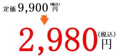 定価9,900円(税込)▶︎2,980円(税込)
